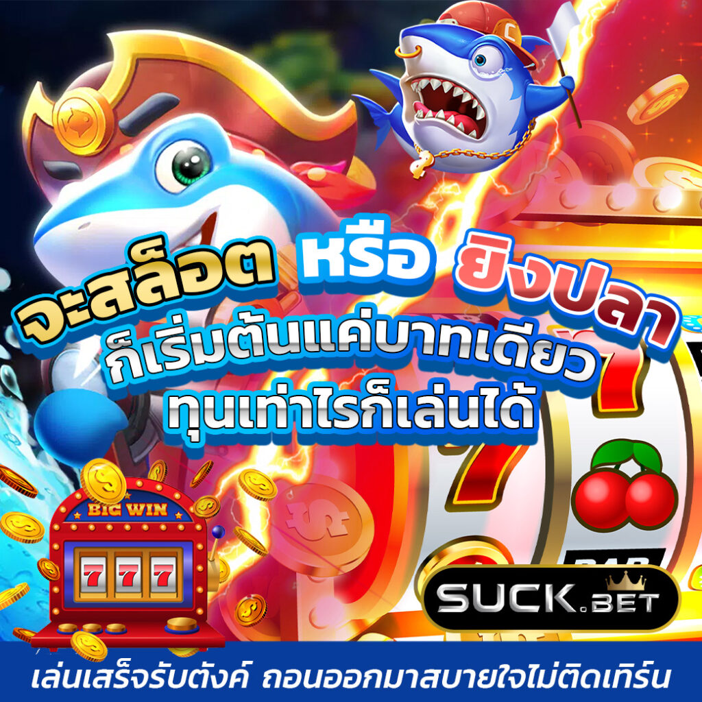 3fx bet สนับสนุนต่อยอดเงินต้นของสมาชิกให้มีให้ขนาดใหญ่ เหมาะแก่การไล่ล่าโบนัส